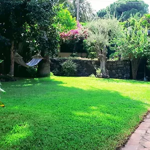 Bouganville , Viagrande Italia
